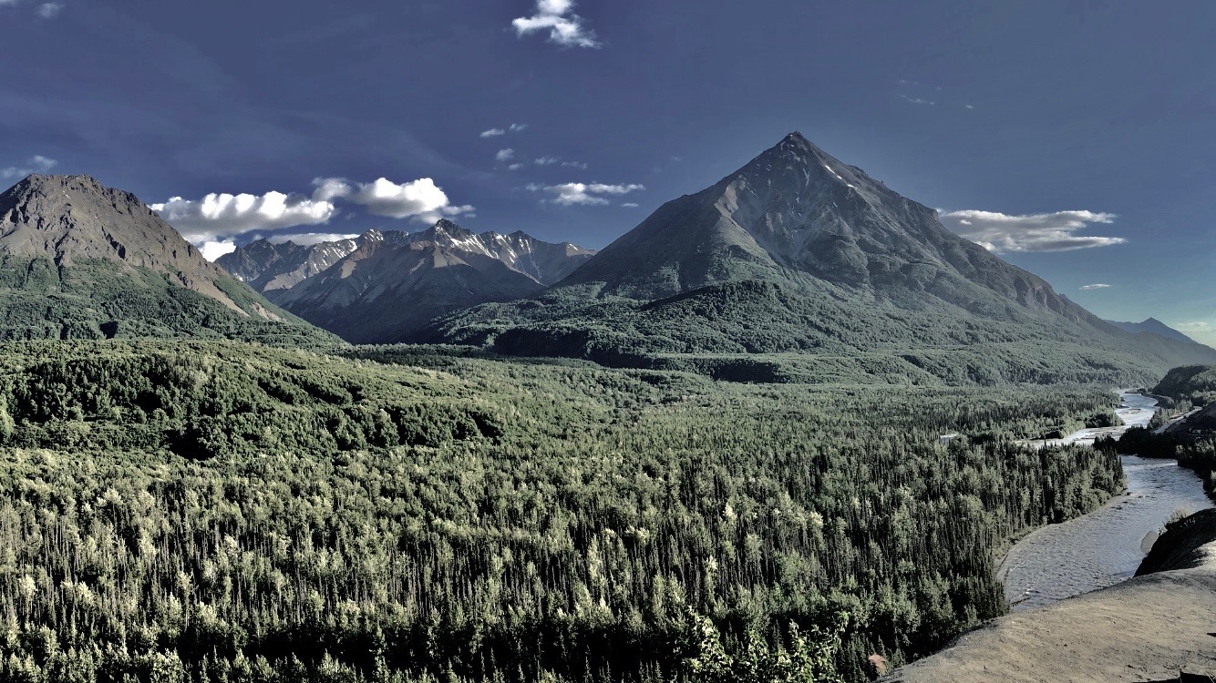 Eat: Food as Minimalism