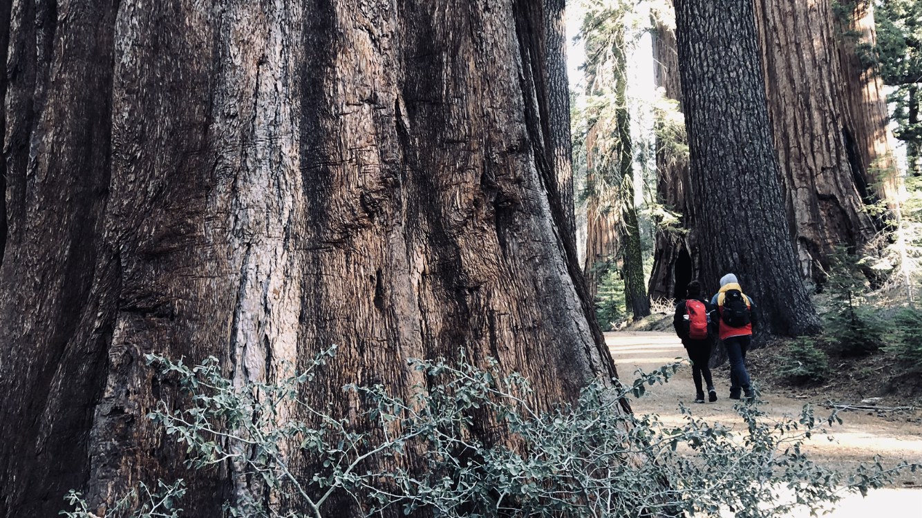 Making Space for Change