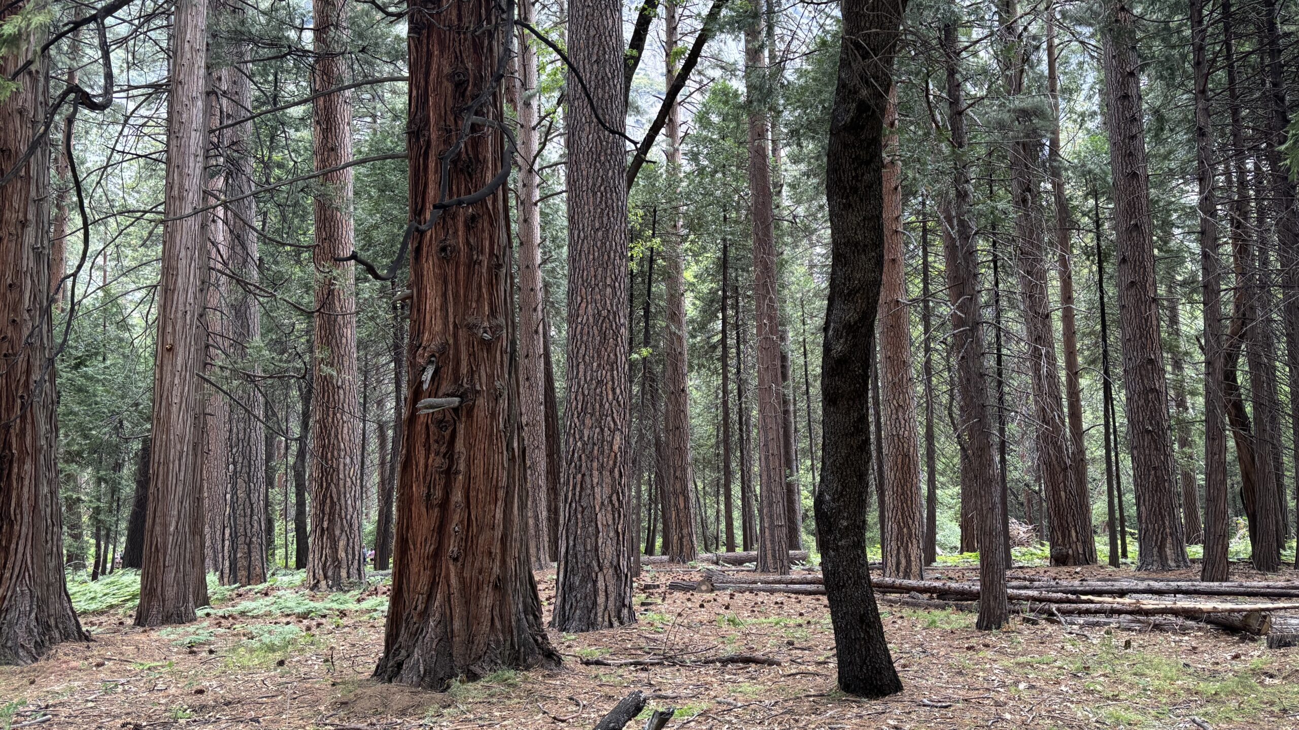 Man is Not Our Enemy